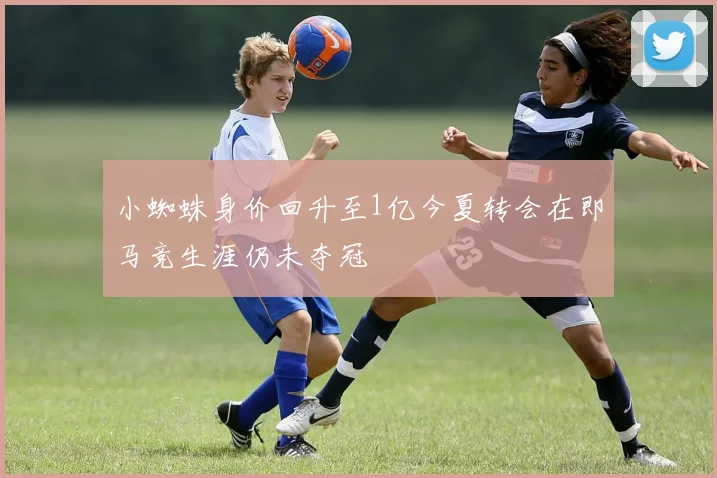 小蜘蛛身价回升至1亿今夏转会在即马竞生涯仍未夺冠
