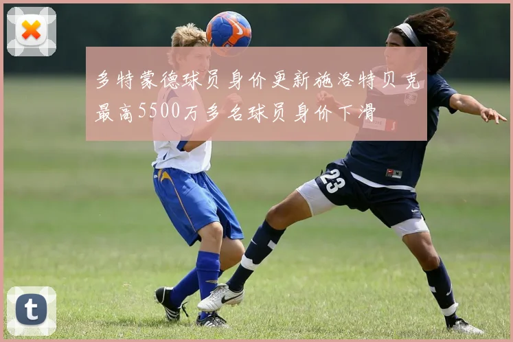 多特蒙德球员身价更新施洛特贝克最高5500万多名球员身价下滑